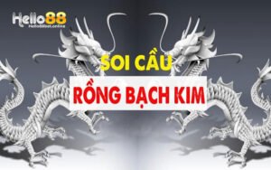 Tìm Hiểu Rồng Bạch Kim Và Các Phương Thức Soi Cầu Hiệu Quả